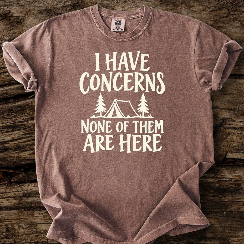 I Have Concerns T-Shirt