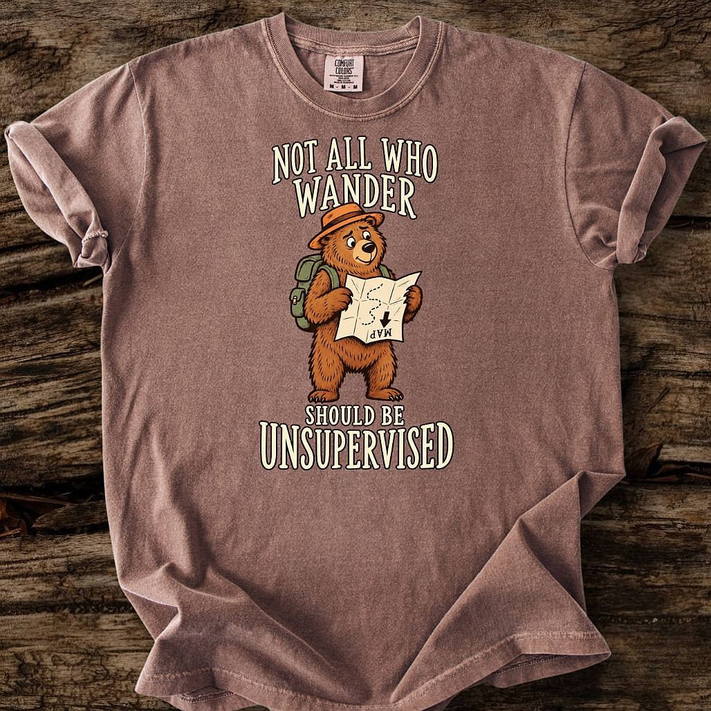 Not All Who Wander T-Shirt