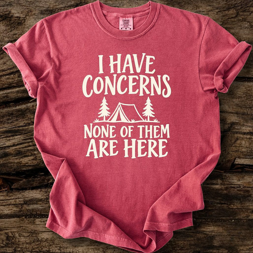 I Have Concerns T-Shirt