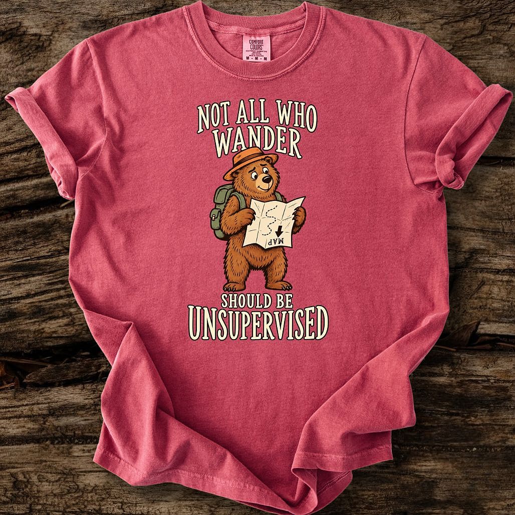 Not All Who Wander T-Shirt