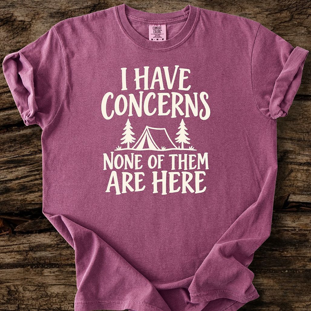 I Have Concerns T-Shirt